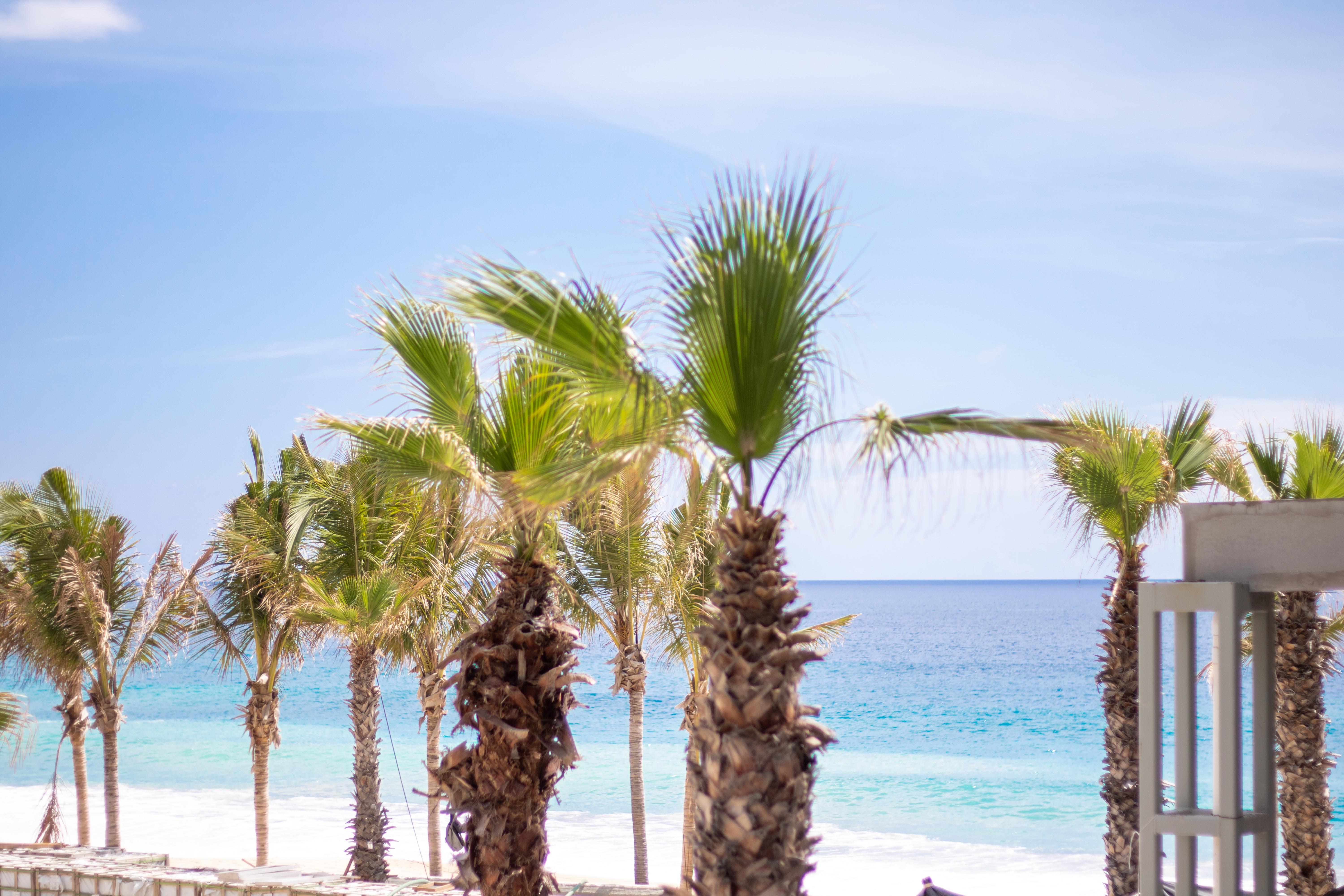 Garza Blanca Resort & Spa Los Cabos Cabo San Lucas Dış mekan fotoğraf